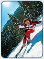 Anregungen zu Ausflügen aus den Fewo am Staffelsee nach Kochel, Oberammergau, Garmisch, zur Zugspitze, Wieskirche, zu Rodelbahnen, Sommerrodelbahnen, Bergbahnen, zum Rafting, Ballonfahrten, Fischerstechen, Fronleichnam, Skilauf, Langlauf, Gleitschirmflug, Kinderschwimmen, Baden, Schwimmen, Tauchen, Klettern werden gegeben.