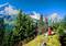 Bergpanorama und Überblick ins Wettersteingebirge
